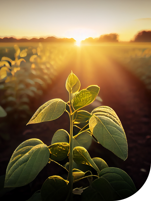 Descubra o potencial máximo de crédito da<br/> sua Revendas e financie a sua base de clientes