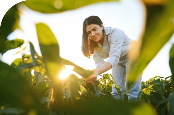 Conheça o <br/>Key Account